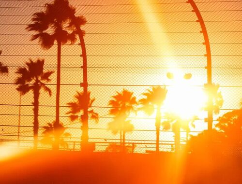 Daytona calling: <br> der Guide zum ROLEX 24