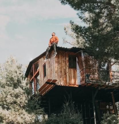 Zum Vatertag: How to ein Baumhaus bauen