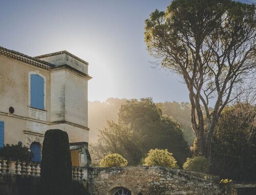 Zwischen Erde und Zeit: <br> Domaine du Grand Fontanille