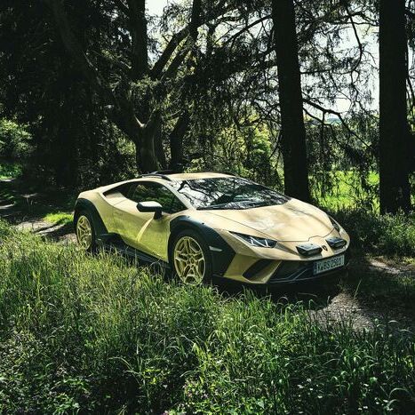 A Lambo in the Woods